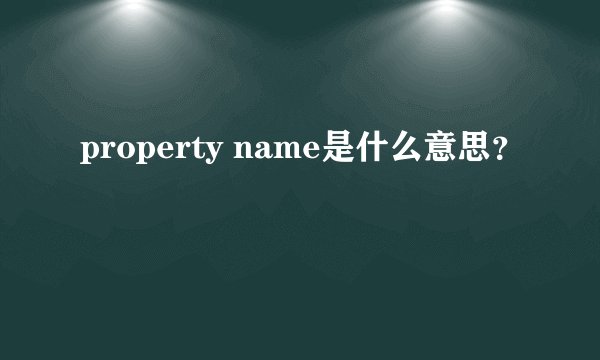 property name是什么意思？