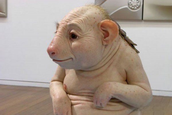 云南猪人是真的吗 它最初就是艺术品