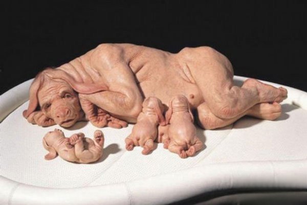 云南猪人是真的吗 它最初就是艺术品