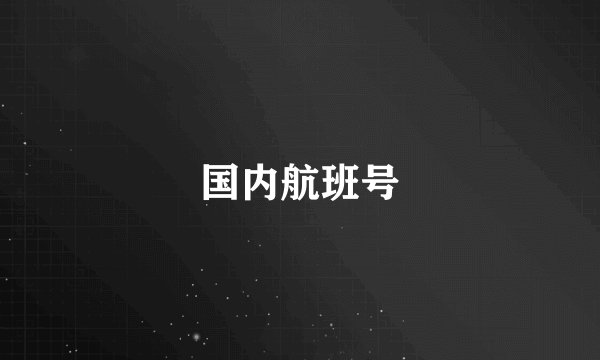 国内航班号