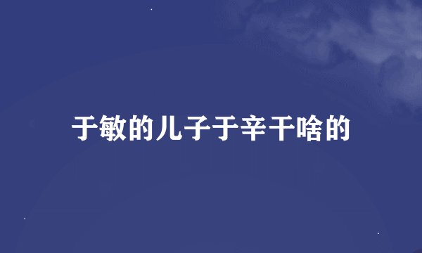 于敏的儿子于辛干啥的