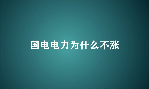 国电电力为什么不涨