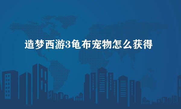 造梦西游3龟布宠物怎么获得