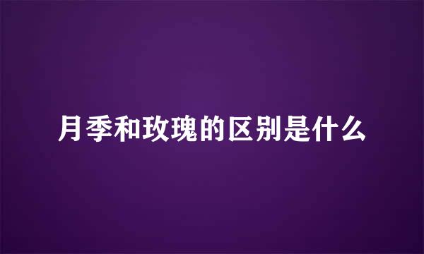 月季和玫瑰的区别是什么