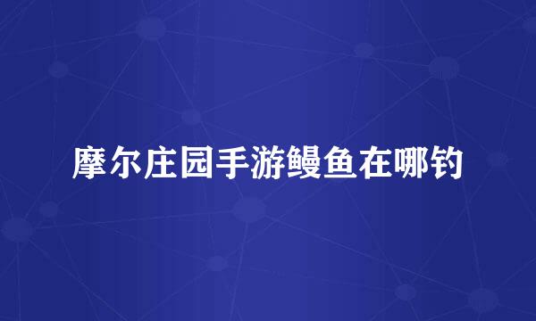 摩尔庄园手游鳗鱼在哪钓