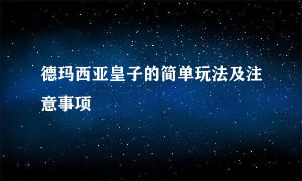 德玛西亚皇子的简单玩法及注意事项