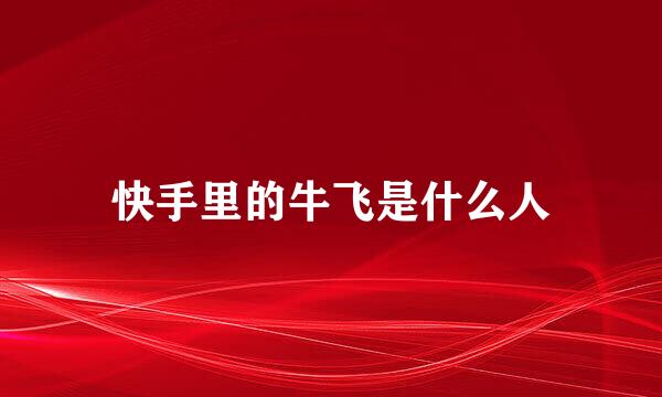 快手里的牛飞是什么人