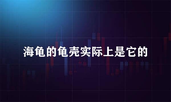 海龟的龟壳实际上是它的