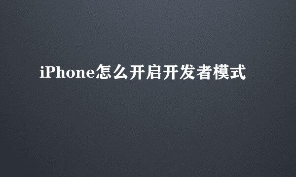 iPhone怎么开启开发者模式