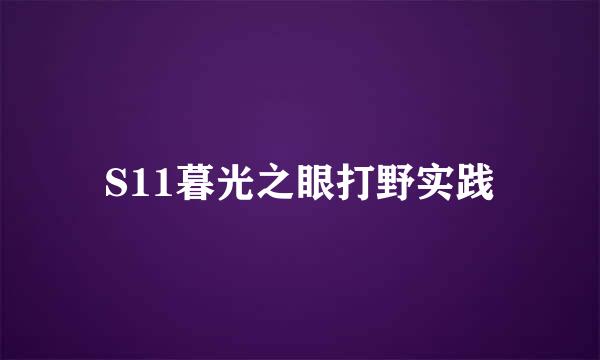 S11暮光之眼打野实践