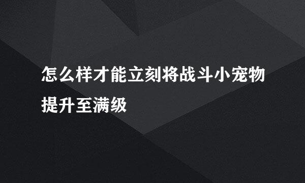 怎么样才能立刻将战斗小宠物提升至满级