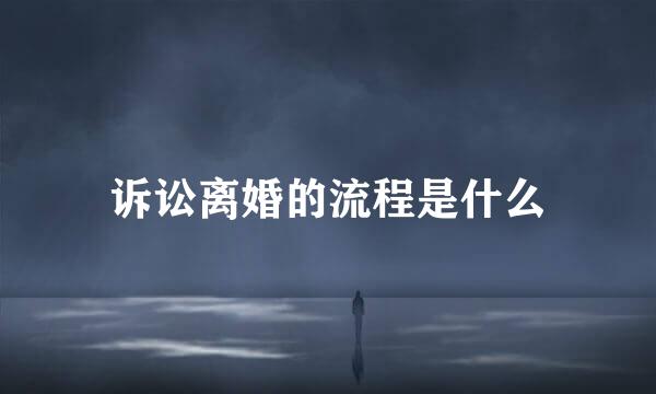 诉讼离婚的流程是什么