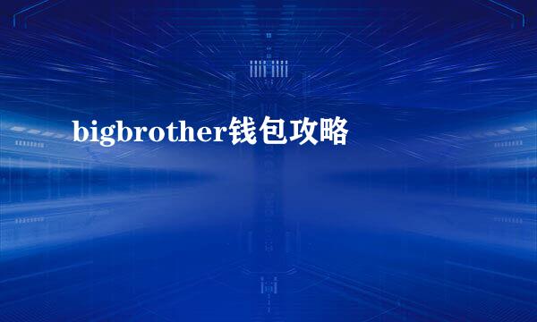 bigbrother钱包攻略