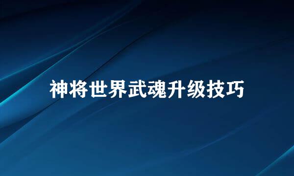 神将世界武魂升级技巧