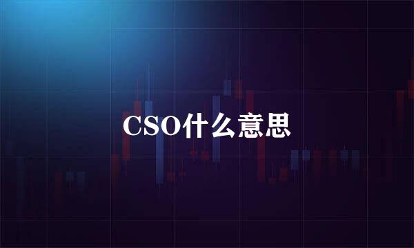 CSO什么意思