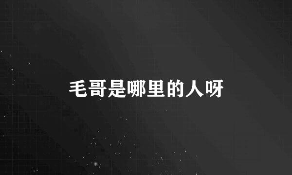 毛哥是哪里的人呀