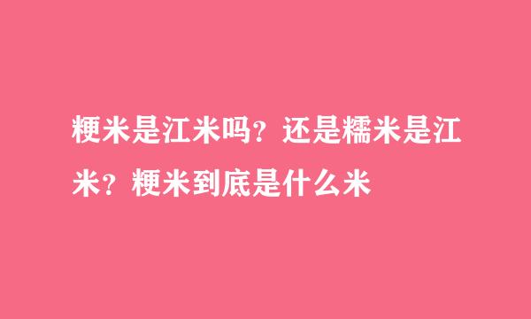 粳米是江米吗？还是糯米是江米？粳米到底是什么米