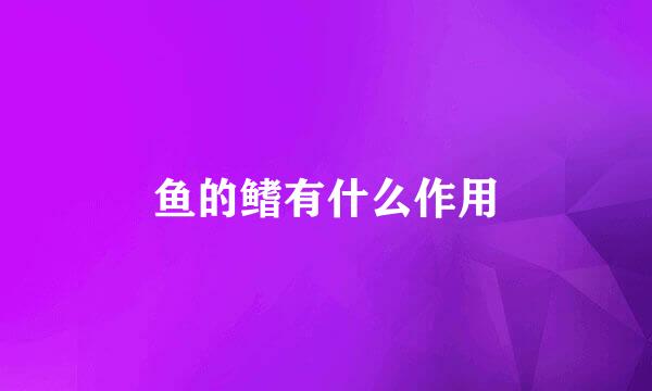 鱼的鳍有什么作用