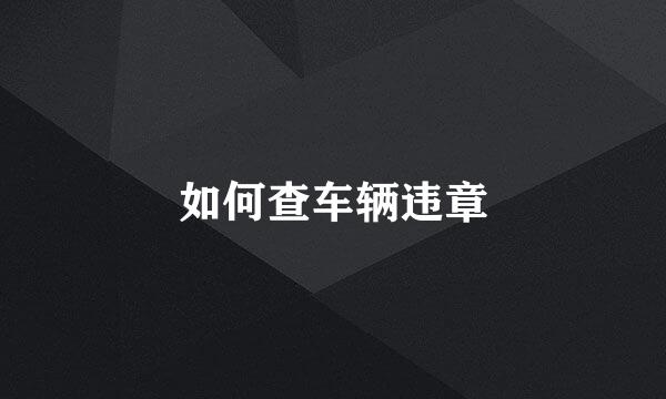 如何查车辆违章