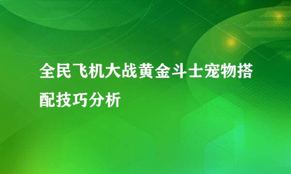 全民飞机大战黄金斗士宠物搭配技巧分析