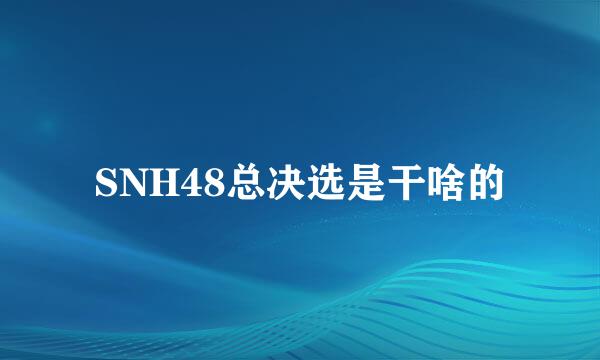 SNH48总决选是干啥的