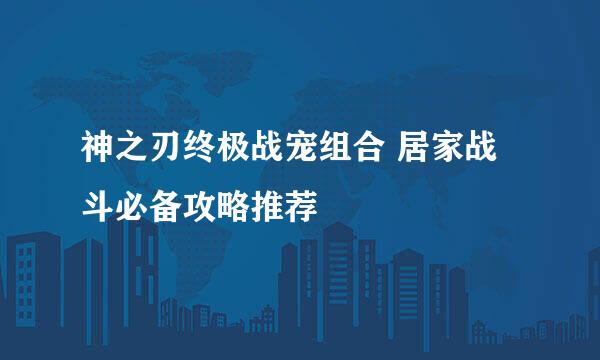 神之刃终极战宠组合 居家战斗必备攻略推荐