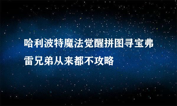 哈利波特魔法觉醒拼图寻宝弗雷兄弟从来都不攻略
