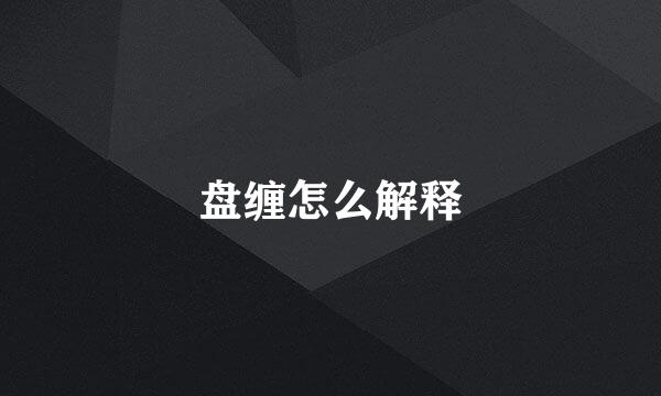 盘缠怎么解释
