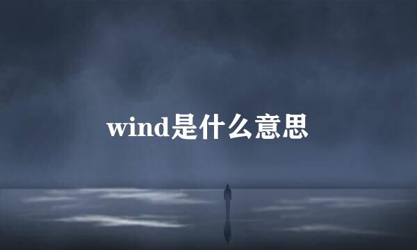 wind是什么意思