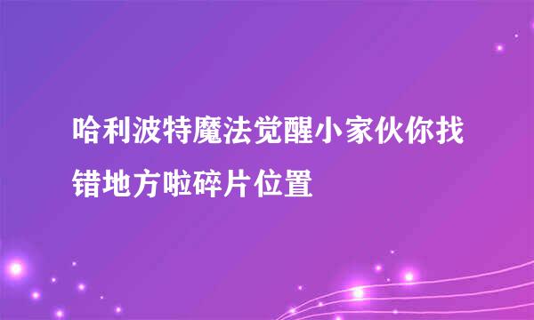 哈利波特魔法觉醒小家伙你找错地方啦碎片位置