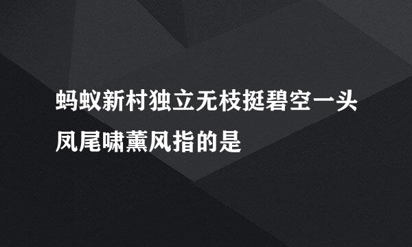 蚂蚁新村独立无枝挺碧空一头凤尾啸薰风指的是