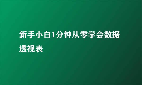 新手小白1分钟从零学会数据透视表