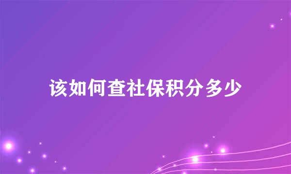 该如何查社保积分多少