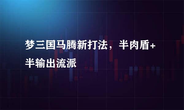 梦三国马腾新打法，半肉盾+半输出流派