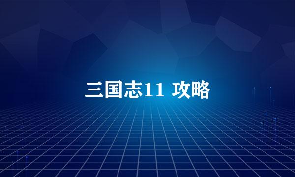三国志11 攻略