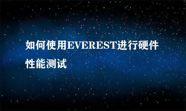 如何使用EVEREST进行硬件性能测试