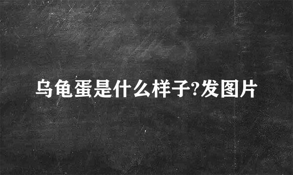 乌龟蛋是什么样子?发图片