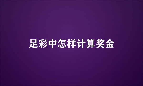 足彩中怎样计算奖金