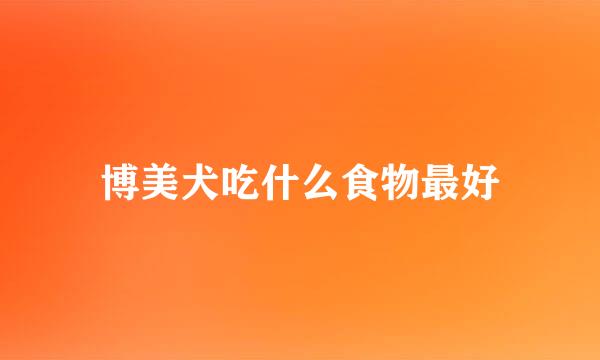 博美犬吃什么食物最好