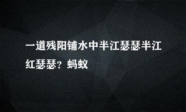 一道残阳铺水中半江瑟瑟半江红瑟瑟？蚂蚁