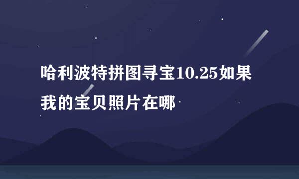 哈利波特拼图寻宝10.25如果我的宝贝照片在哪
