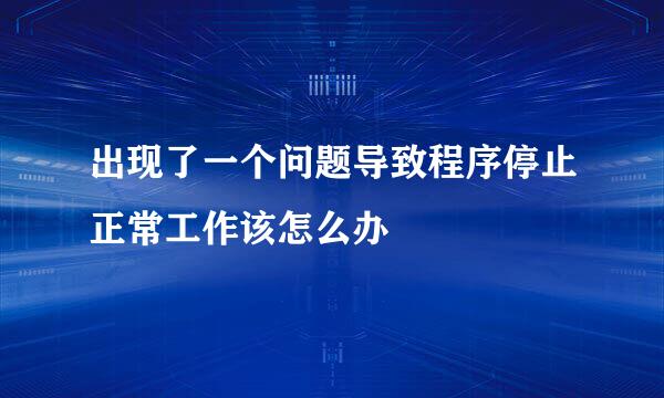 出现了一个问题导致程序停止正常工作该怎么办
