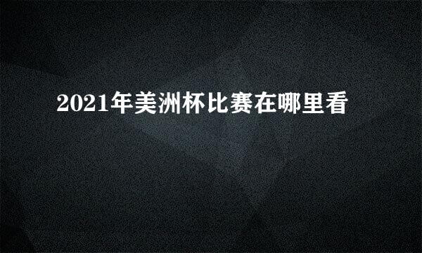 2021年美洲杯比赛在哪里看
