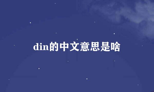 din的中文意思是啥