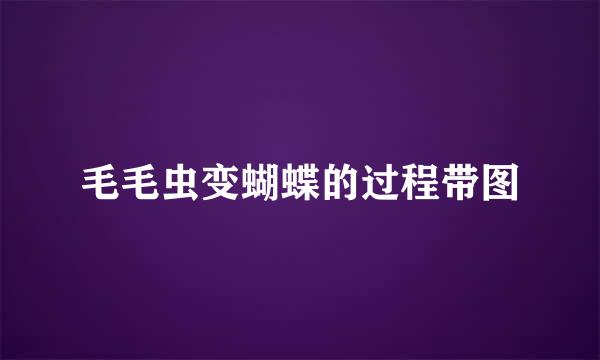 毛毛虫变蝴蝶的过程带图