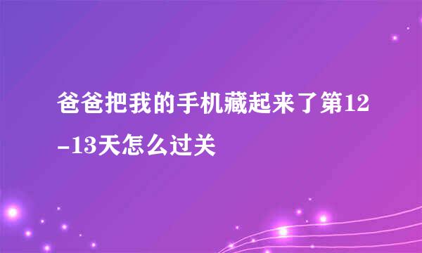 爸爸把我的手机藏起来了第12-13天怎么过关