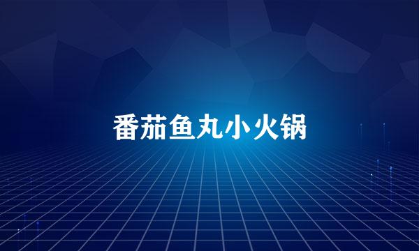 番茄鱼丸小火锅