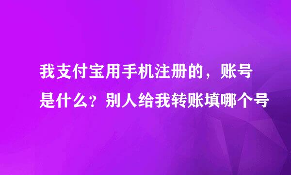 我支付宝用手机注册的，账号是什么？别人给我转账填哪个号