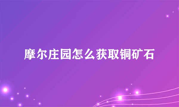 摩尔庄园怎么获取铜矿石