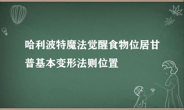 哈利波特魔法觉醒食物位居甘普基本变形法则位置
